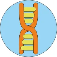 EMERGENCEI logo