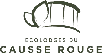 LUMI-NAISSANCE 12 logo