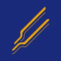 VIAPAZON logo