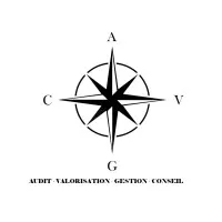 Voici le logo de la marque AUDIT VALORISATION GESTION CONSEIL (AVGC) qui représente son identité graphique.