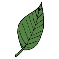 GREEN ME MORE logo