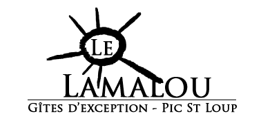 GITE DU PIC ST LOUP logo