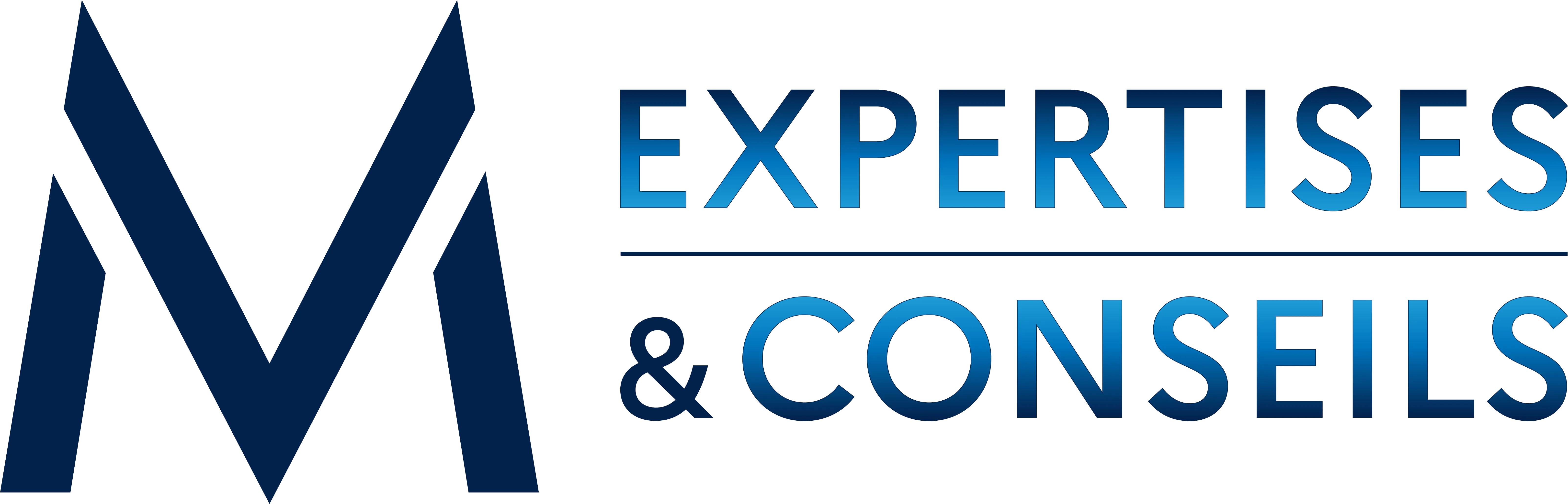 M EXPERTISES logo