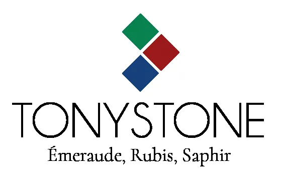 SAS TONYSTONE logo
