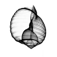 GROUPE IMAGERIE MEDICALE OUEST logo