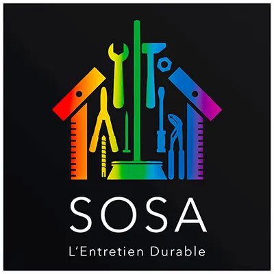 DALLI NILS logo
