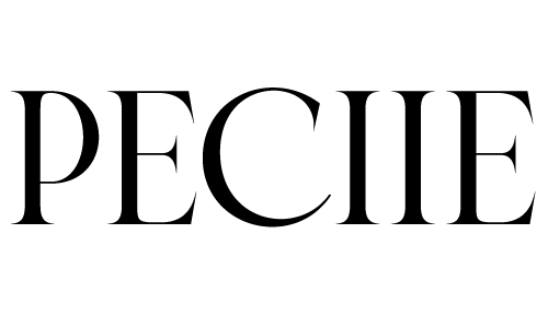 ECOM VISION logo