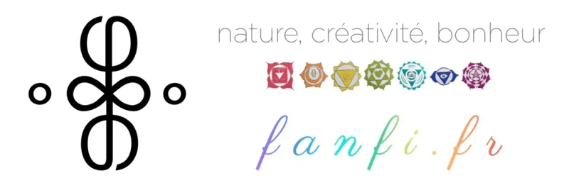 FANFI.FR logo