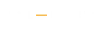 SYSTEM SUCCESS logo