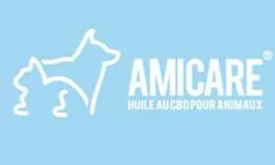 PLACE DU WEB logo