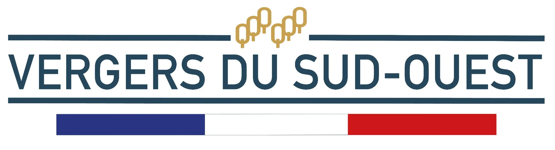VDSO COOP logo