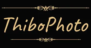 PONSONNET THIBAUD logo