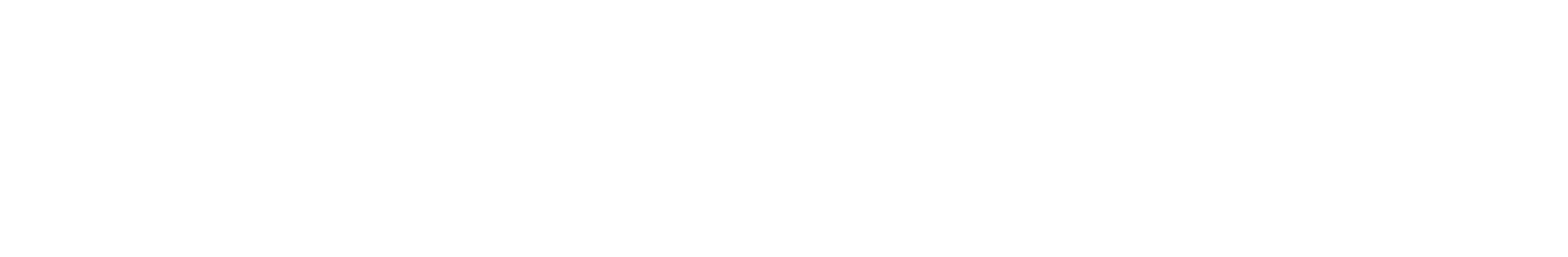 DOPFF ET IRION logo
