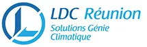 LDC REUNION (LDC REUNION) logo