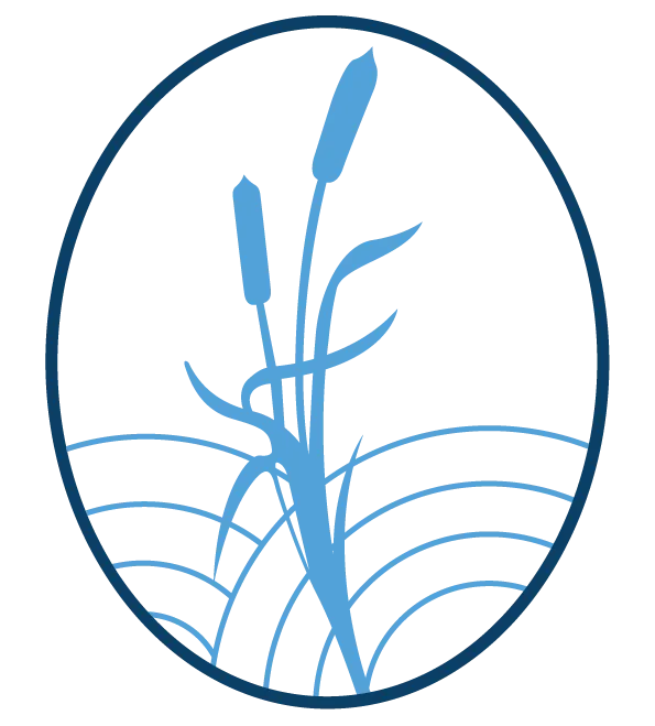 SN12 logo