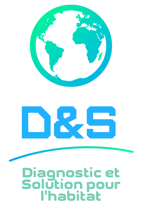 D&S logo