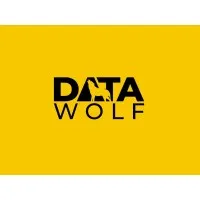 DATA WOLF logo