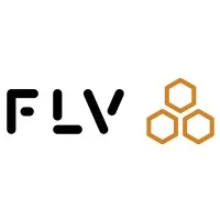 FLV logo