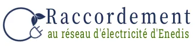 FRANCE DIGITAL SERVICES logo