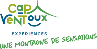 SOCIETE PUBLIQUE LOCALE DE DEVELOPEMENT TOURISTIQUE DES STATIONS DU MONT VENTOUX logo