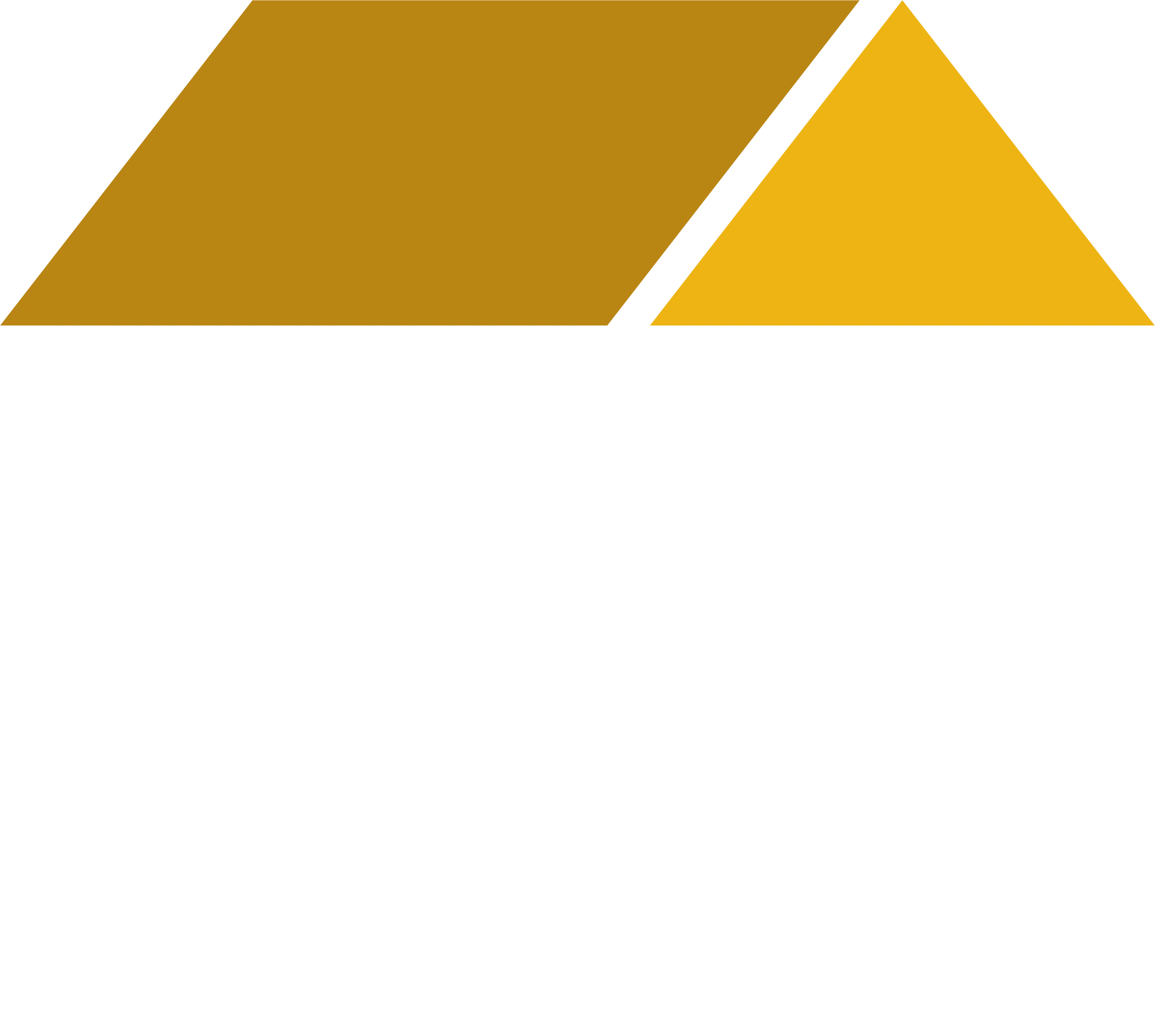 NH TOITURE logo