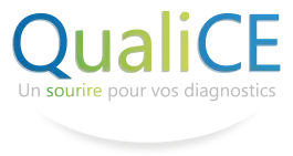INELE DIAG logo