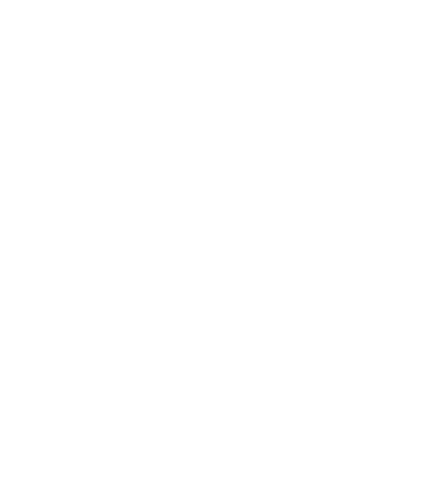MK SPIRIT logo