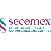 SECOMEX CONSULTING logo