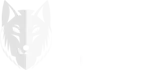 ST-THE TAXI logo