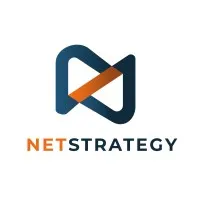 NET STRATEGY logo