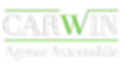 CARWIN logo