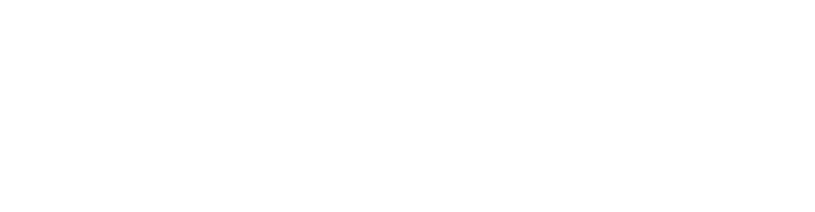 DOMAINE L'ALMAZ logo