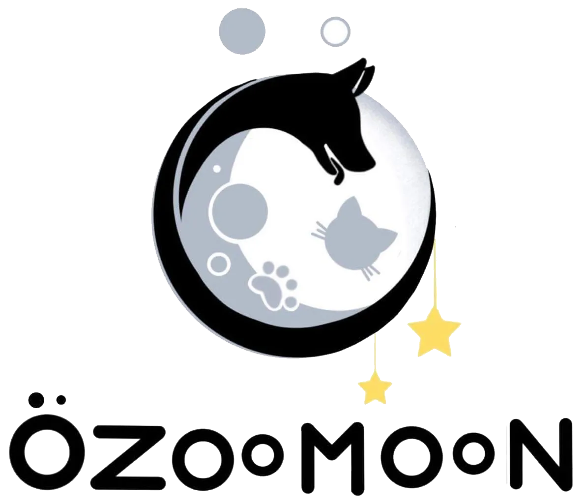 OZOOMOON logo