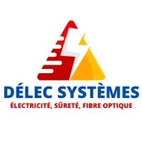 DELEC SYSTEMES logo