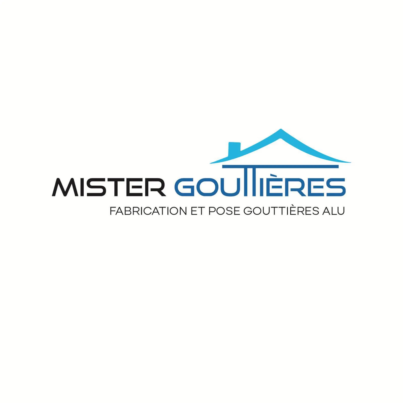MISTER GOUTTIERES logo