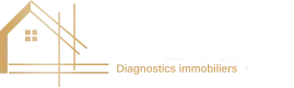 V-DIAGS logo