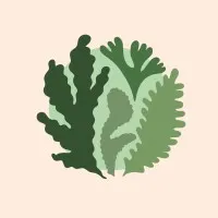 LUMI'ALGUES logo
