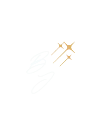 B J BRILLE logo