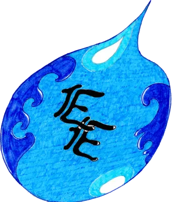 DELANNOY MICHEL logo