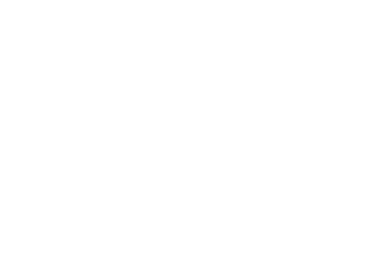 LA BRASSERIE DU FOUR A BRIQUES logo
