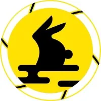 IZUMO FRANCE SAS logo