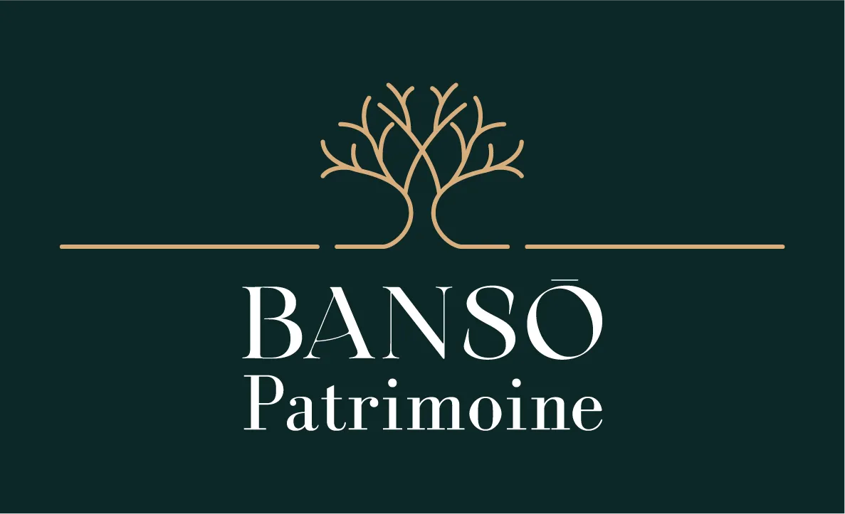 BANSO PATRIMOINE VT logo