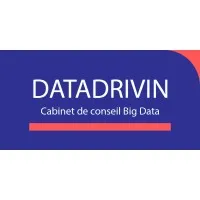 DATADRIVIN logo