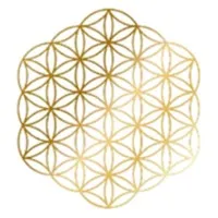 LES FINES FLEURS logo
