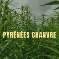 Voici le logo de la marque PYRENEES CHANVRE qui représente son identité graphique.