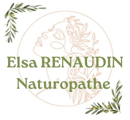 FERRANDON ELSA logo