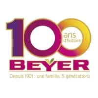 Voici le logo de la marque SAS BEYER (L'HIRONDELLE MULHOUSIENNNE) qui représente son identité graphique.