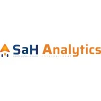 SAH ANALYTICS INTERNATIONAL logo