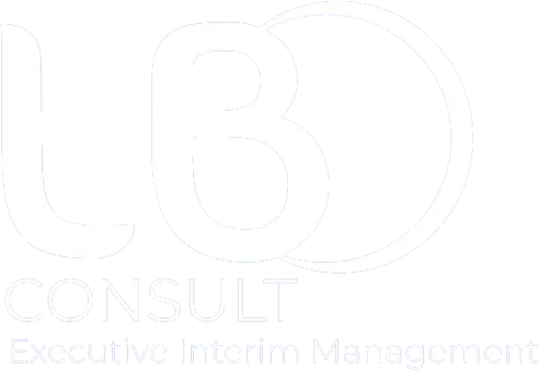 LBO CONSULT logo