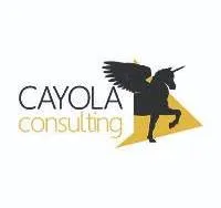 Voici le logo de la marque PARGO SAS (Cayola consulting) qui représente son identité graphique.